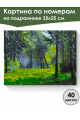 Картина по номерам на подрамнике «Лесная поляна» 35x25 см