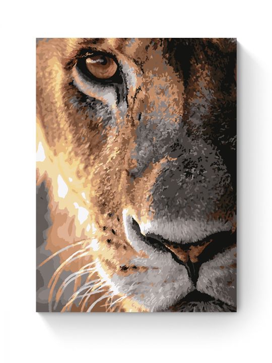 Картина по номерам на подрамнике «Взгляд львицы» 70x50 см