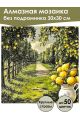 Алмазная мозаика без подрамника «Аллея лимонов» 30x30 см, 40 цветов