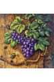 Алмазная мозаика на подрамнике «Виноград» 40x40 см