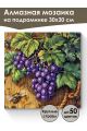 Алмазная мозаика на подрамнике «Виноград» 30x30 см
