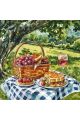 Алмазная мозаика без подрамника «Пикник» 30x30 см