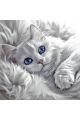 Алмазная мозаика без подрамника «Дымный кот» 30x30 см