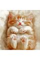 Алмазная мозаика без подрамника «Рыжик» 30x30 см