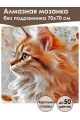 Алмазная мозаика без подрамника «Мисс кошечка» 70x70 см