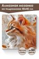 Алмазная мозаика на подрамнике «Мисс кошечка» 40x40 см