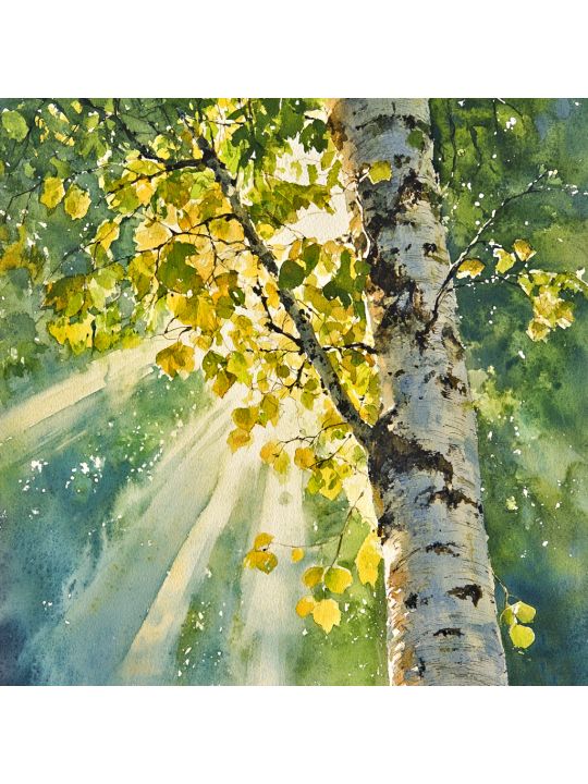 Алмазная мозаика без подрамника «Берёзки» 30x30 см