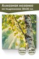 Алмазная мозаика на подрамнике «Берёзки» 30x30 см