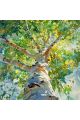 Алмазная мозаика без подрамника «Берёзки» 30x30 см