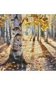 Алмазная мозаика без подрамника «Берёзки» 30x30 см