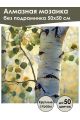 Алмазная мозаика без подрамника «Берёзка» 50x50 см