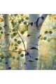 Алмазная мозаика без подрамника «Берёзка» 30x30 см