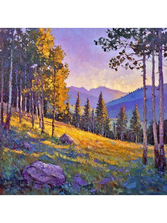 Алмазная мозаика без подрамника «Контрасты» 40x40 см