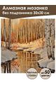 Алмазная мозаика без подрамника «Зимний лес» 30x30 см