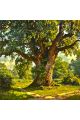 Алмазная мозаика без подрамника «Великий дуб» 40x40 см