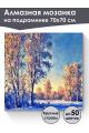 Алмазная мозаика на подрамнике «Злой мороз» 70x70 см, 50 цветов