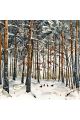 Алмазная мозаика без подрамника «Зимний лес» 30x30 см