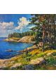 Алмазная мозаика без подрамника «Побережье» 50x50 см
