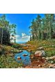 Алмазная мозаика без подрамника «Побережье» 40x40 см