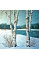 Алмазная мозаика без подрамника «Зима» 100x100 см
