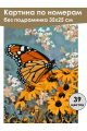 Картина по номерам без подрамника «Бабочка» 35x25 см