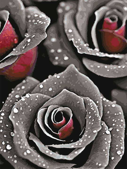 Картина по номерам без подрамника «Чёрные розы» 70x50 см Картина по номерам без подрамника «Чёрные розы» 70x50 см