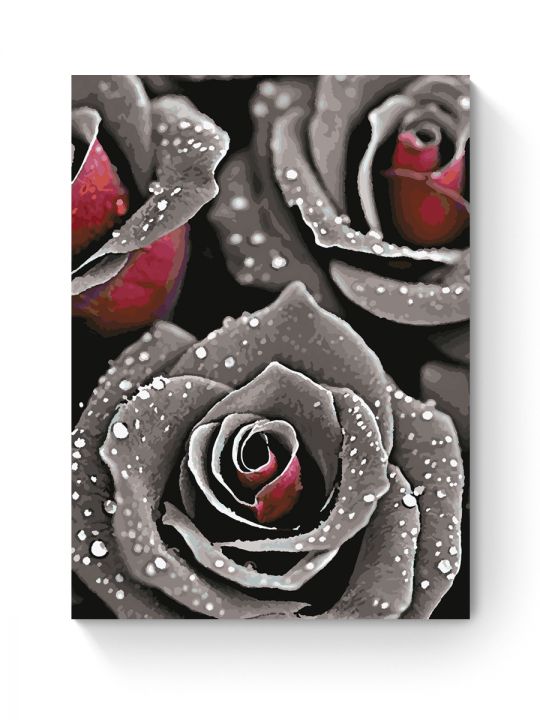 Картина по номерам на подрамнике «Чёрные розы» 70x50 см Картина по номерам на подрамнике «Чёрные розы» 70x50 см