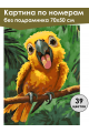Картина по номерам без подрамника «Попугайчик» 70x50 см