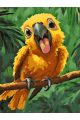 Картина по номерам на подрамнике «Попугайчик» 70x50 см