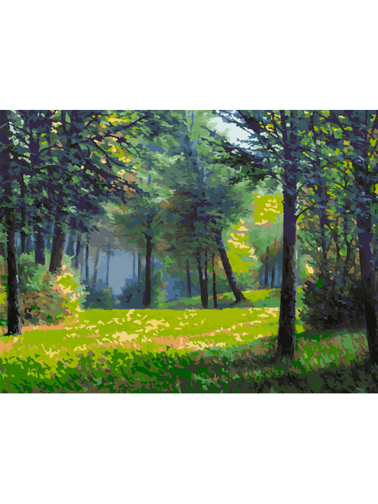 Картина по номерам без подрамника «Лесная поляна» 70x50 см