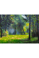 Картина по номерам без подрамника «Лесная поляна» 70x50 см