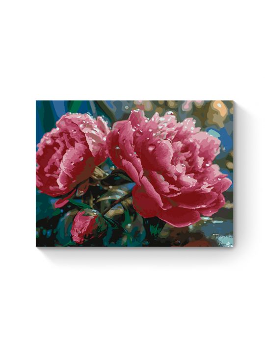 Картина по номерам на подрамнике «Розовые пионы» 70x50 см