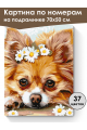 Картина по номерам на подрамнике «Чихуахуа» 70x50 см