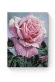 Картина по номерам на подрамнике «Розовая роза» 70x50 см