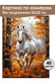 Картина по номерам без подрамника «Белый конь» 35x25 см