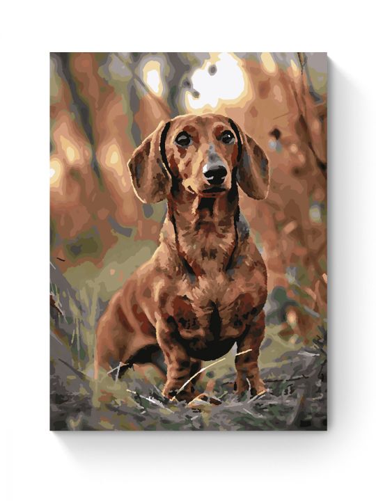 Картина по номерам на подрамнике «Такса и охота» 35x25 см