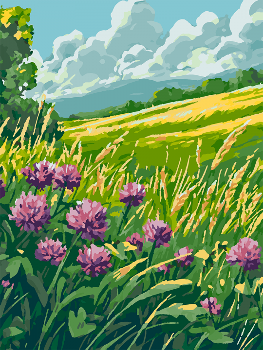 Картина по номерам без подрамника «Цветы клевера» 35x25 см Картина по номерам без подрамника «Цветы клевера» 35x25 см