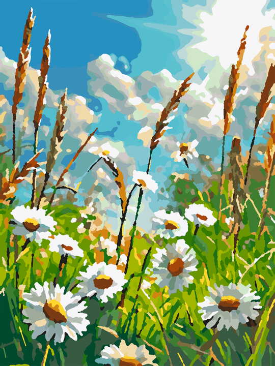 Картина по номерам без подрамника «Ромашки» 25x20 см Картина по номерам без подрамника «Ромашки» 25x20 см