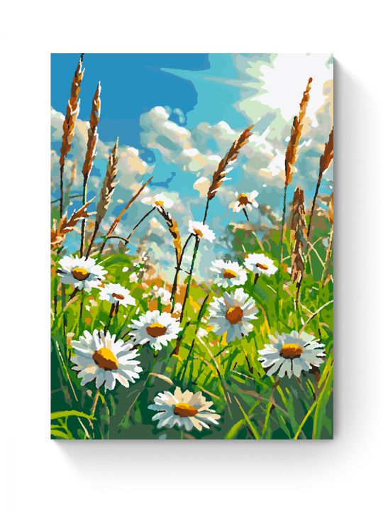 Картина по номерам на подрамнике «Ромашки» 35x25 см Картина по номерам на подрамнике «Ромашки» 35x25 см