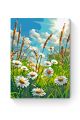 Картина по номерам на подрамнике «Ромашки» 35x25 см