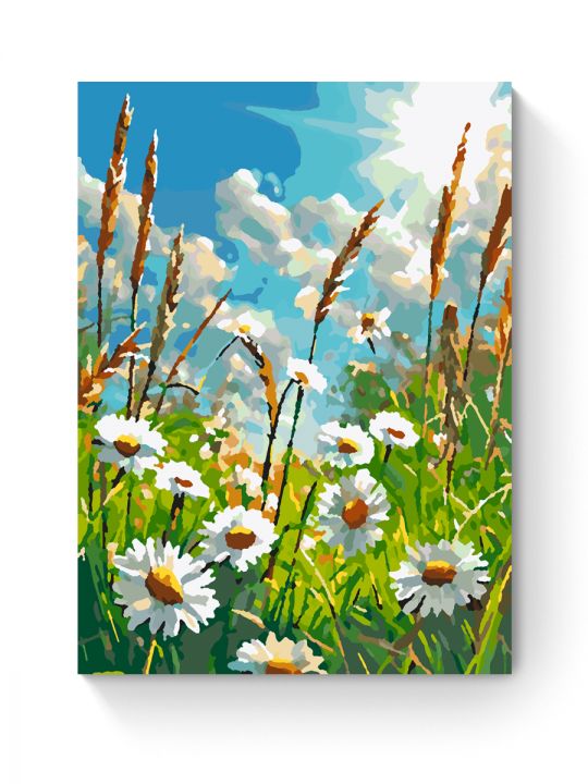 Картина по номерам на подрамнике «Ромашки» 25x20 см Картина по номерам на подрамнике «Ромашки» 25x20 см