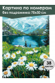 Картина по номерам без подрамника «Ромашки» 70x50 см
