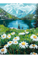 Картина по номерам без подрамника «Ромашки» 70x50 см