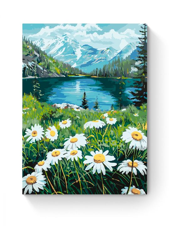Картина по номерам на подрамнике «Ромашки» 70x50 см Картина по номерам на подрамнике «Ромашки» 70x50 см
