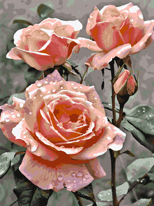 Картина по номерам без подрамника «Три розы» 70x50 см Картина по номерам без подрамника «Три розы» 70x50 см