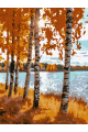 Картина по номерам без подрамника «Берег озера» 25x20 см