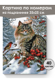 Картина по номерам на подрамнике «Пушистый кот» 35x25 см