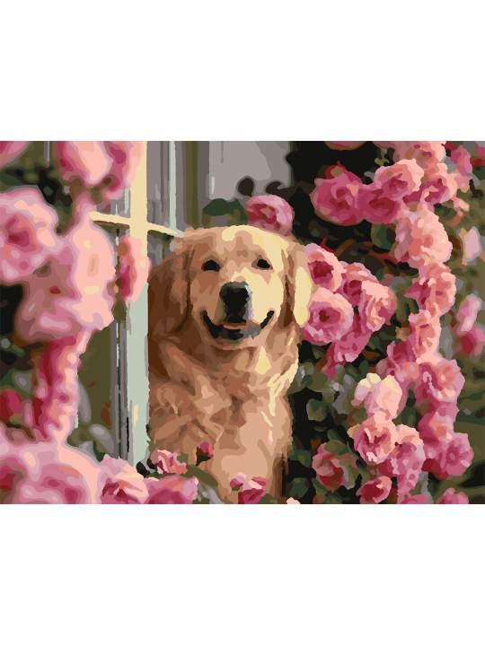 Картина по номерам без подрамника «Лабрадор» 25x20 см Картина по номерам без подрамника «Лабрадор» 25x20 см
