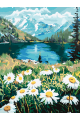 Картина по номерам без подрамника «Ромашки» 25x20 см