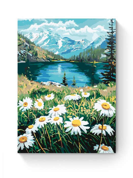 Картина по номерам на подрамнике «Ромашки» 35x25 см Картина по номерам на подрамнике «Ромашки» 35x25 см